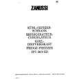 ZANUSSI ZFC20/8RD Instrukcja Obsługi