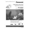PANASONIC PVGS65 Instrukcja Obsługi