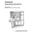 PANASONIC NNS667 Instrukcja Obsługi