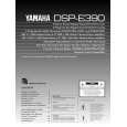 YAMAHA DSP-E390 Instrukcja Obsługi