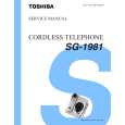 TOSHIBA SG1981 Instrukcja Serwisowa