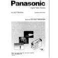PANASONIC NV-DS77 Instrukcja Obsługi
