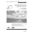 PANASONIC PVGS33D Instrukcja Obsługi