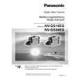 PANASONIC NVGS10EG Instrukcja Obsługi