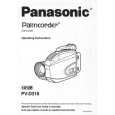 PANASONIC PVD318D Instrukcja Obsługi