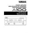 YAMAHA A100 Instrukcja Obsługi