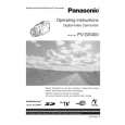 PANASONIC PVGS400D Instrukcja Obsługi