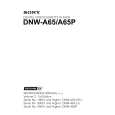 SONY DNW-A65P Instrukcja Serwisowa