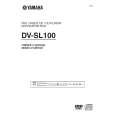DV-SL100 - Kliknij na obrazek aby go zamknąć